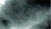 Figure 11 - Self-organization of gold nanoparticles in an organized nanoporous material capable of including a property of ONL or magnetism in the framework. The size of the pores (55 Å) corresponds to that of the nanoparticles.