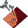 Figure 15 - Nano-porous self-assembly of 1,3,5-tri(4'-bromophenyl)benzene on a Si(111)-B surface (15 x 15 nm2) [23]