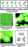 Figure 16 - AFM images of a covalent self-assembly obtained on insulator after heating [24].