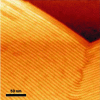 Figure 18 - AFM image of nanowire self-assembly [27].