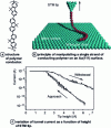 Figure 24 - Conduction in a single strand of conductive polymer [36].