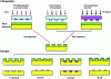 Figure 1 - Lithography and transfer methods