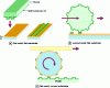 Figure 3 - Principle of reproducing a nanostructured pattern on a flat or curved substrate