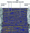 Figure 1 - Scanning electron microscopy of the active part of a hydrogen sensor based on palladium nanowires