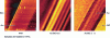 Figure 14 - TRSTM images  of a gold strip deposited on SiC