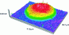 Figure 14 - 3D representation of a DNA biochip