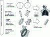 Figure 8 - Nano-object pathways and toxic effects in the human body