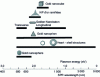 Figure 16 - Position of the plasmon resonance for different gold NP geometries