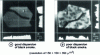 Figure 2 - NMR images of tire tread sections (from )