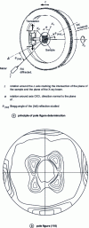 Figure 19 - Pole pattern obtained using the reflection method