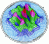 Figure 20 - Poles (311) of rolled aluminum sheet in three-dimensional representation