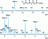 Figure 17 - Molecules 10(2R) (signals denoted R) and 10(2S) (signals denoted S). Complexation by Pr(tpip) 3