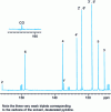 Figure 2 - Molecule 1 - 13C NMR spectrum