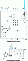 Figure 7 - Molecule 3. 2D COSY card