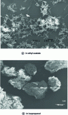 Figure 11 - Crystallization of the A shape