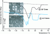 Figure 19 - Shift observed during the melting of the stearic fraction of a palm oil (source PBS-LECAP laboratory, A. Vuillequez thesis).