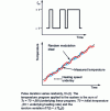 Figure 26 - Type of temperature modulation in the TOPEM process (source: Mettler-Toledo)