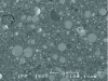 Figure 16 - Photograph from cryo-MEB analysis of water-in-oil emulsion (from [23])