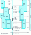 Figure 5 - Example of particle size (Millipore doc.)