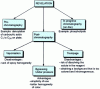 Figure 4 - Main derivative formation modes in planar chromatography