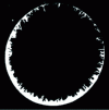 Figure 27 - Cross-section of grafted stationary phase column