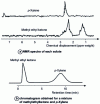 Figure 42 - Gas chromatograph/nuclear magnetic resonance coupling