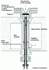 Figure 5 - Classic liquid injector