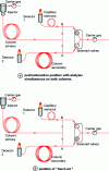 Figure 4 - Operating principle of a Deans-switch system in GC-GC