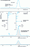 Figure 10 - Restitution of chromatographic information after repetitive acquisition of complete spectra 