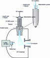 Figure 18 - Device for coupling APPI to electrophoretic methods (CZE, MEKC, MEEKC)