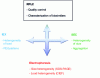 Figure 10 - Separative techniques for characterizing therapeutic proteins