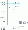 Figure 17 - Manifold for the determination of iron in seawater