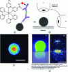 Figure 2 - (a) Sandwich immunoassay performed on micrometric beads, (b) schematic representation of the two optical configurations used to image the distribution of ECL emission at the level of functionalized beads: top view (A) and profile view (B), (c) ECL image of a 6 µm radius bead in top view, (d) photoluminescence (PL) and ECL images of the same microbead in profile view.