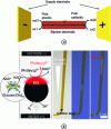 Figure 4 - a) Schematic diagram of bipolar electrochemistry, b) Bipolar ECL "swimmer" coupled to an enzymatic reaction to explore and analyze a glucose concentration gradient.