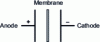 Figure 1 - Single-membrane electrodialysis