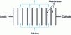 Figure 10 - Multi-membrane electrodialyzer: parallel circulation of solutions