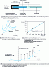 Figure 33 - Example of the application of a modified ultramicroelectrode to the determination of NO in biological media (from 40)