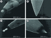 Figure 19 - SEM micrographs of submicrometer electrodes made from arc-treated gold wire. The wire body is insulated by a layer of electrophoretic paint; only the end is bare. These four images show the influence of the characteristics of the electric arc used on the shape of the resulting electrode (from [48]).