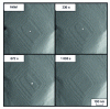 Figure 11 - AFM images (600 × 600 nm2) obtained in situ in contact mode showing the degradation of an island on Au(100) polarized at 0.2 V vs Ag+/Ag in the ionic liquid 1-ethyl-3-methylimidazolium tetrafluoroborate (EMlmBF4) (from [20])