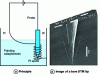 Figure 14 - (a) Principle of the experimental set-up used to isolate STM tips for EC-STM using an electrophoretic paint. (b) Composite image showing an image of the bare STM tip in normal contrast and a superimposed image in inverse contrast of the same tip after electrical isolation using an electrocataphoretic deposit.