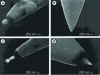 Figure 3 - SEM micrographs of submicrometer electrodes made from arc-treated gold wire. The wire body is insulated by a layer of electrophoretic paint; only the end is bare. The four images show the influence of the characteristics of the electric arc used on the shape of the resulting electrode (from [8]).