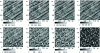 Figure 8 - AFM images obtained in situ in contact mode of poly-bithiophene (PBT) films electrodeposited on a platinum electrode at various stages of growth at + 0.58 V vs Fc+/Fc in an electrolyte solution containing LiClO4 (0.1 M) in acetonitrile: (a) unmodified electrode, then after electroplating for (b) 1, (c) 6, (d) 7, (e) 8, (f) 13, (g) 18, (h) 23 minutes (from [17])