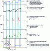 Figure 11 - Currents resulting from the application of differential pulse polarography to a mercury drop electrode