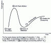 Figure 1 - Gartner cycle: the evolution of new technologies over time