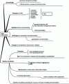 Figure 6 - Data and information control elements according to GEN GTA 02 [2].