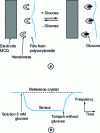 Figure 19 -  Schematic representation of a glucose sensor and reversible glucose uptake. Effect of switching from a buffer solution to an identical solution containing 5 mM glucose and vice versa, based on [3]