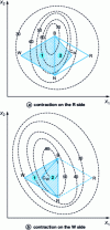 Figure 6 - Nelder and Mead method. Isoresponse curves illustrating the case where the response in R is less than the response in N: contraction