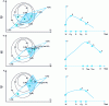 Figure 7 - Possible developments when the contracted point is still the worst