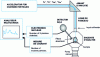 Figure 1 - Schematic view of an experimental setup for PIXE analysis (© CEA/INSTN/Laboratoire Van de Graaff)