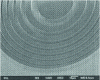 Figure 22 - SEM image of a Fresnel microlens produced by micromachining a polymer deposited on silicon (from [64])